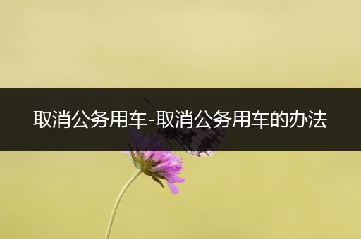 取消公务用车-取消公务用车的办法