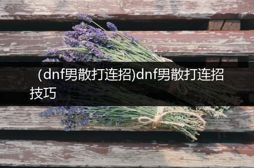 （dnf男散打连招)dnf男散打连招技巧
