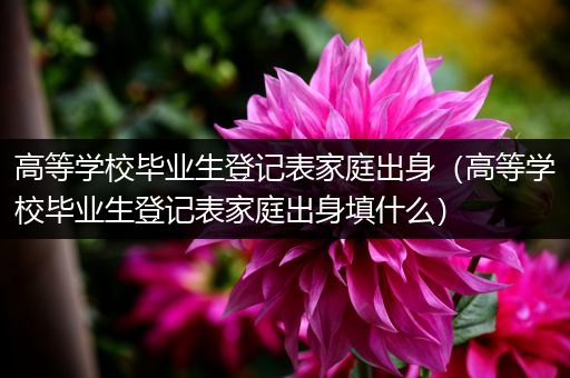 高等学校毕业生登记表家庭出身（高等学校毕业生登记表家庭出身填什么）