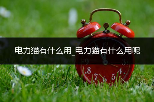 电力猫有什么用_电力猫有什么用呢