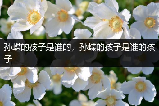 孙蝶的孩子是谁的，孙蝶的孩子是谁的孩子