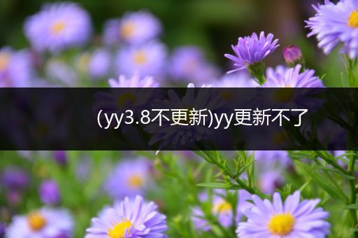 （yy3.8不更新)yy更新不了