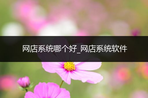 网店系统哪个好_网店系统软件