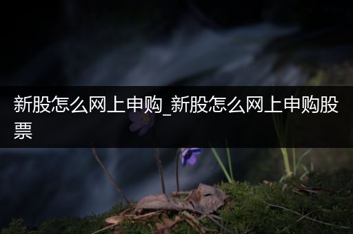 新股怎么网上申购_新股怎么网上申购股票
