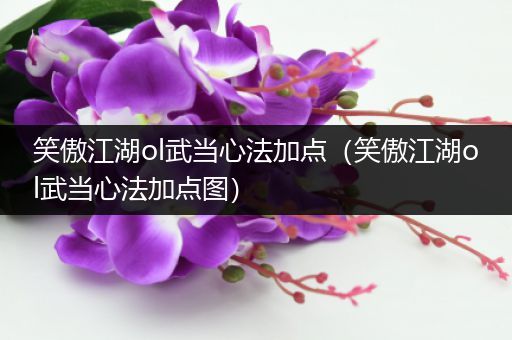 笑傲江湖ol武当心法加点（笑傲江湖ol武当心法加点图）