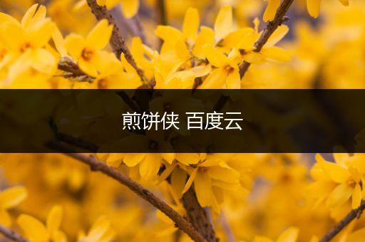 煎饼侠 百度云