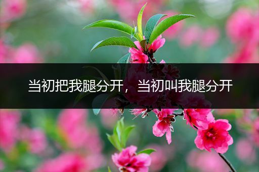 当初把我腿分开，当初叫我腿分开
