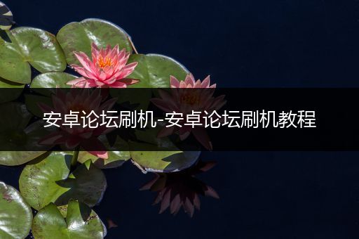 安卓论坛刷机-安卓论坛刷机教程