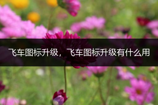 飞车图标升级，飞车图标升级有什么用