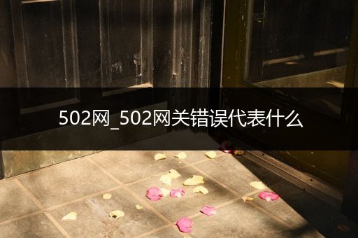 502网_502网关错误代表什么