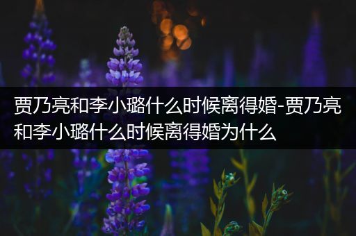 贾乃亮和李小璐什么时候离得婚-贾乃亮和李小璐什么时候离得婚为什么