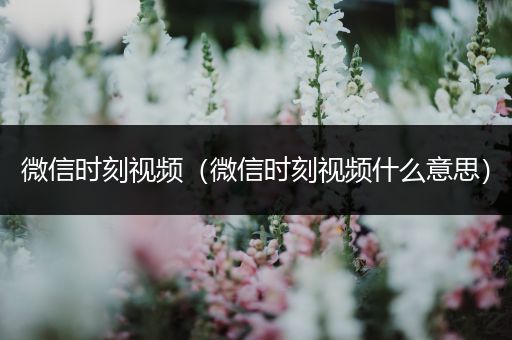 微信时刻视频（微信时刻视频什么意思）