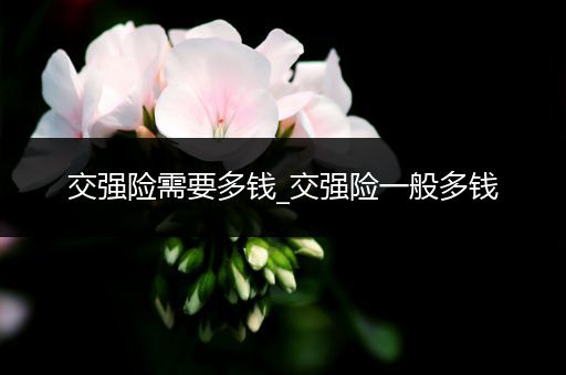 交强险需要多钱_交强险一般多钱