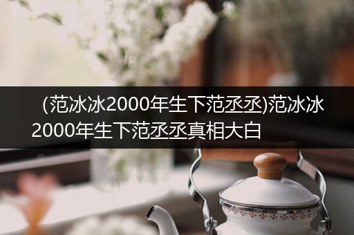 （范冰冰2000年生下范丞丞)范冰冰2000年生下范丞丞真相大白