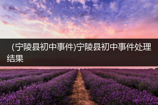 （宁陵县初中事件)宁陵县初中事件处理结果