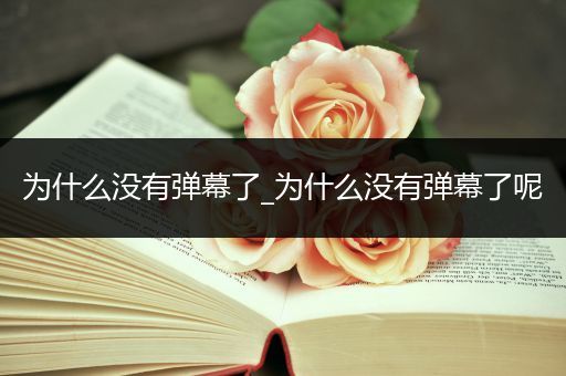 为什么没有弹幕了_为什么没有弹幕了呢