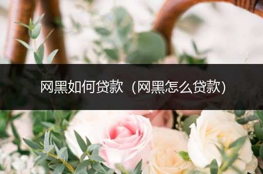 网黑如何贷款（网黑怎么贷款）