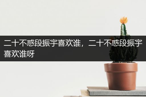 二十不惑段振宇喜欢谁，二十不惑段振宇喜欢谁呀