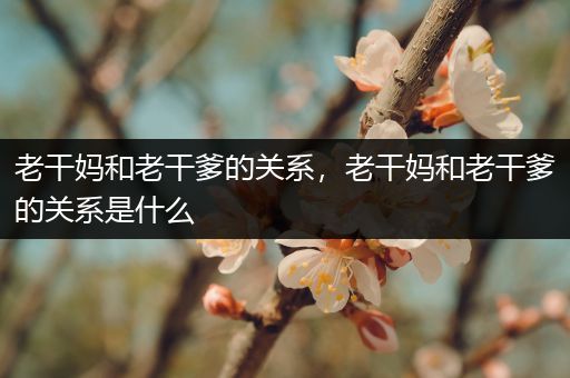 老干妈和老干爹的关系，老干妈和老干爹的关系是什么