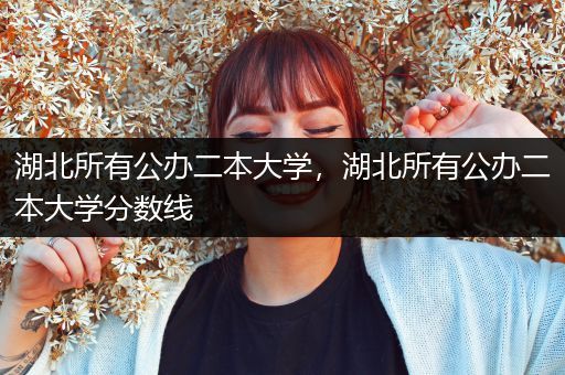 湖北所有公办二本大学，湖北所有公办二本大学分数线