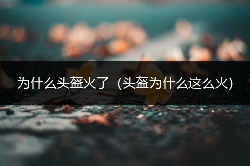 为什么头盔火了（头盔为什么这么火）