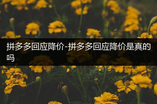 拼多多回应降价-拼多多回应降价是真的吗