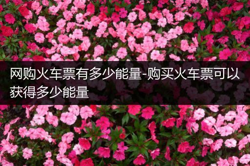 网购火车票有多少能量-购买火车票可以获得多少能量