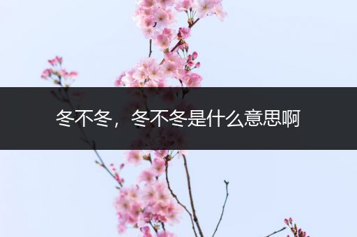 冬不冬，冬不冬是什么意思啊
