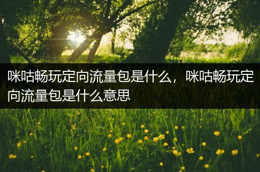 咪咕畅玩定向流量包是什么，咪咕畅玩定向流量包是什么意思