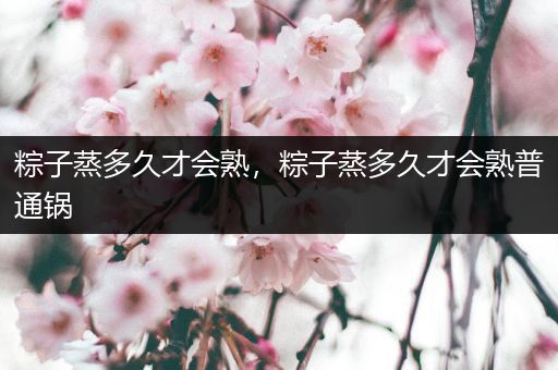 粽子蒸多久才会熟，粽子蒸多久才会熟普通锅