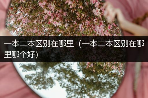 一本二本区别在哪里（一本二本区别在哪里哪个好）