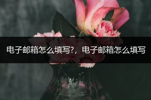 电子邮箱怎么填写?，电子邮箱怎么填写