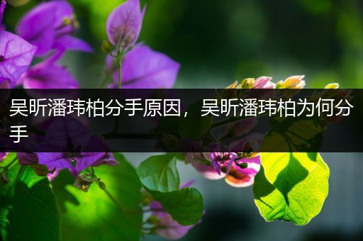 吴昕潘玮柏分手原因，吴昕潘玮柏为何分手