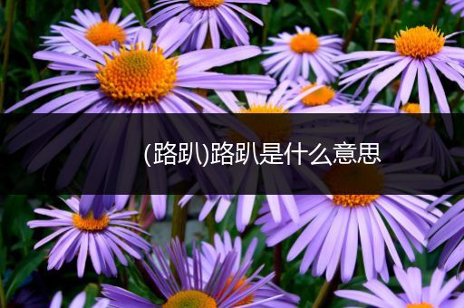 （路趴)路趴是什么意思