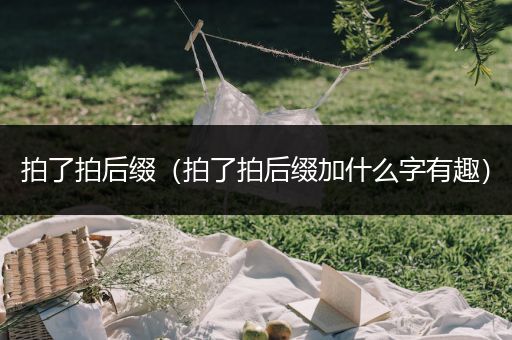 拍了拍后缀（拍了拍后缀加什么字有趣）