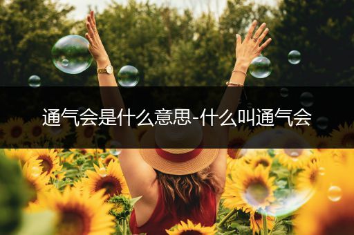 通气会是什么意思-什么叫通气会