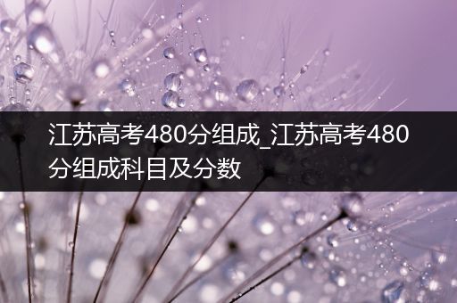 江苏高考480分组成_江苏高考480分组成科目及分数