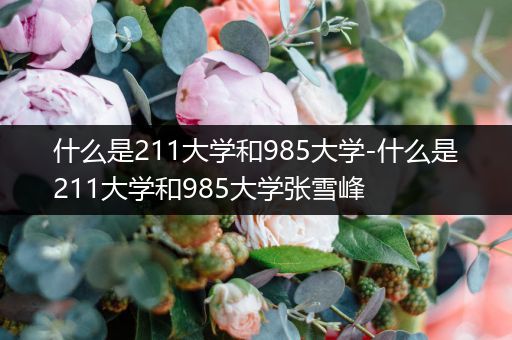 什么是211大学和985大学-什么是211大学和985大学张雪峰