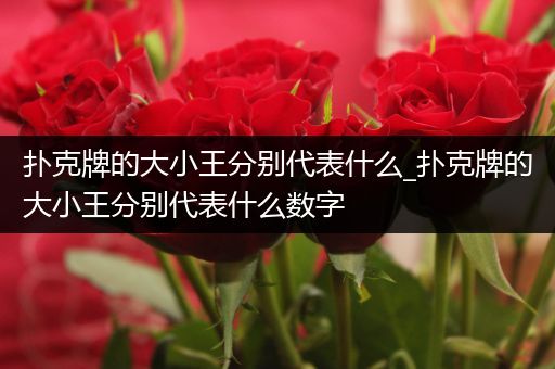 扑克牌的大小王分别代表什么_扑克牌的大小王分别代表什么数字