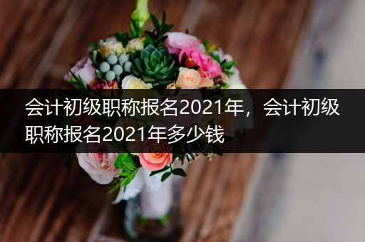 会计初级职称报名2021年，会计初级职称报名2021年多少钱