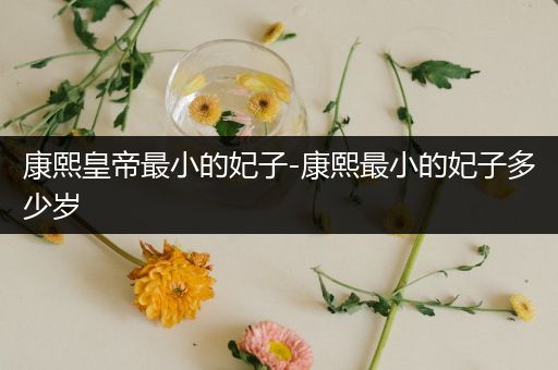 康熙皇帝最小的妃子-康熙最小的妃子多少岁