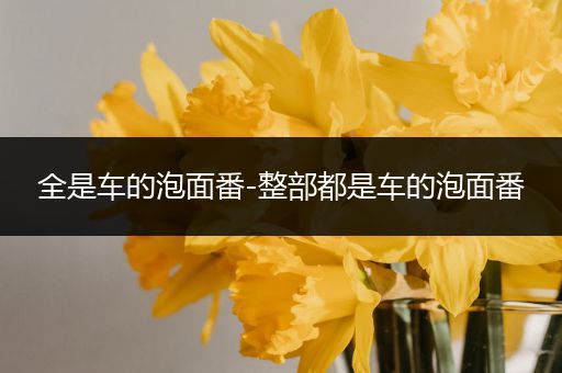 全是车的泡面番-整部都是车的泡面番