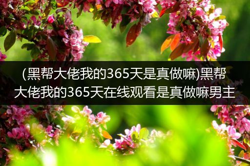（黑帮大佬我的365天是真做嘛)黑帮大佬我的365天在线观看是真做嘛男主
