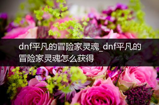 dnf平凡的冒险家灵魂_dnf平凡的冒险家灵魂怎么获得