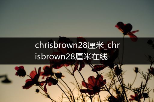 chrisbrown28厘米_chrisbrown28厘米在线