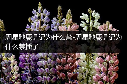 周星驰鹿鼎记为什么禁-周星驰鹿鼎记为什么禁播了