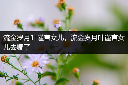 流金岁月叶谨言女儿，流金岁月叶谨言女儿去哪了