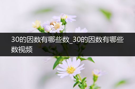 30的因数有哪些数_30的因数有哪些数视频