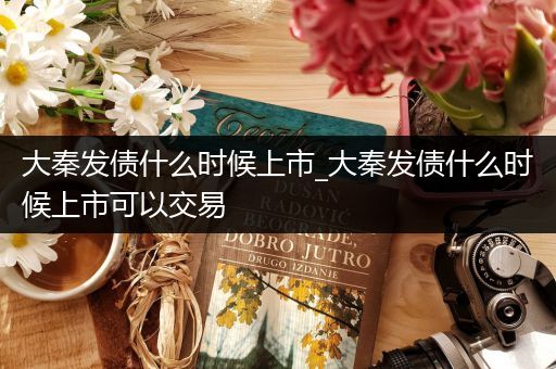 大秦发债什么时候上市_大秦发债什么时候上市可以交易