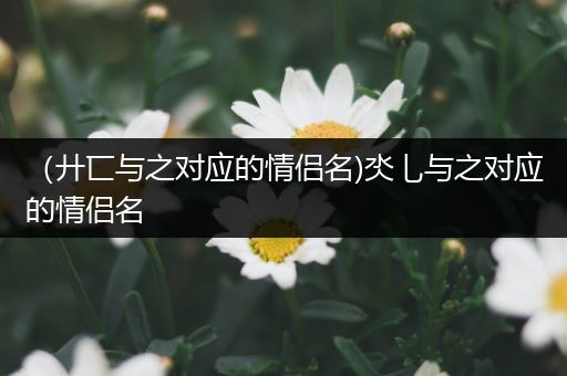 （廾匸与之对应的情侣名)氼乚与之对应的情侣名